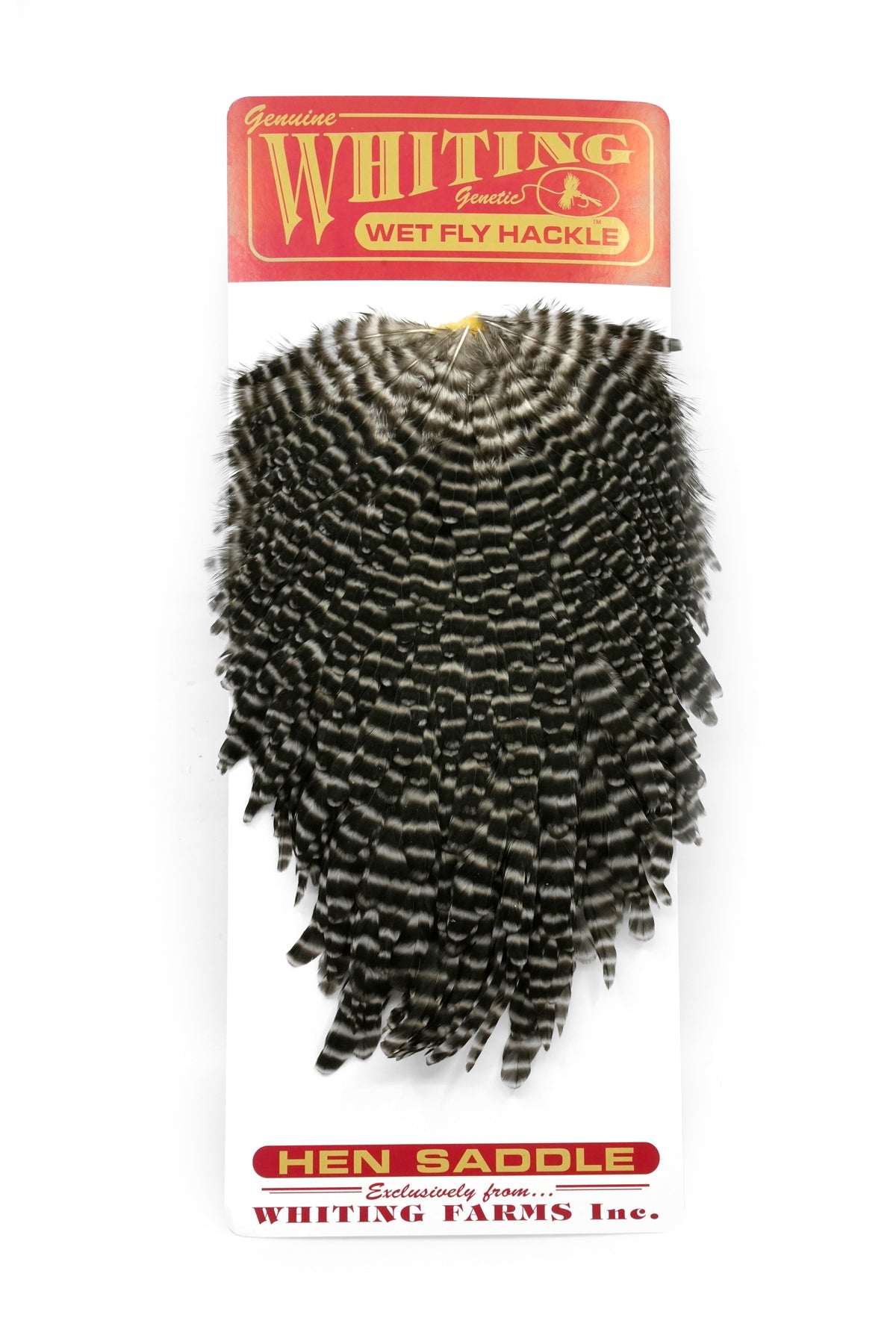 Whiting Hen Saddle - Wet Fly Hackle