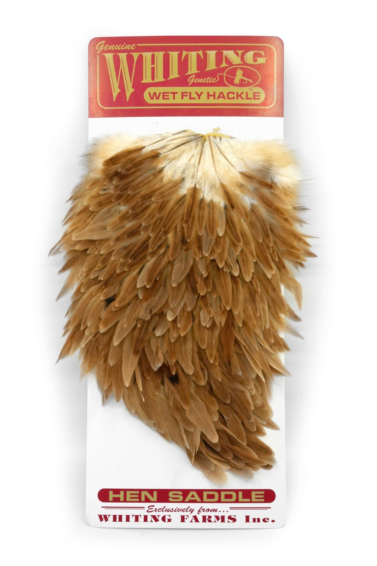 Whiting Hen Saddle - Wet Fly Hackle