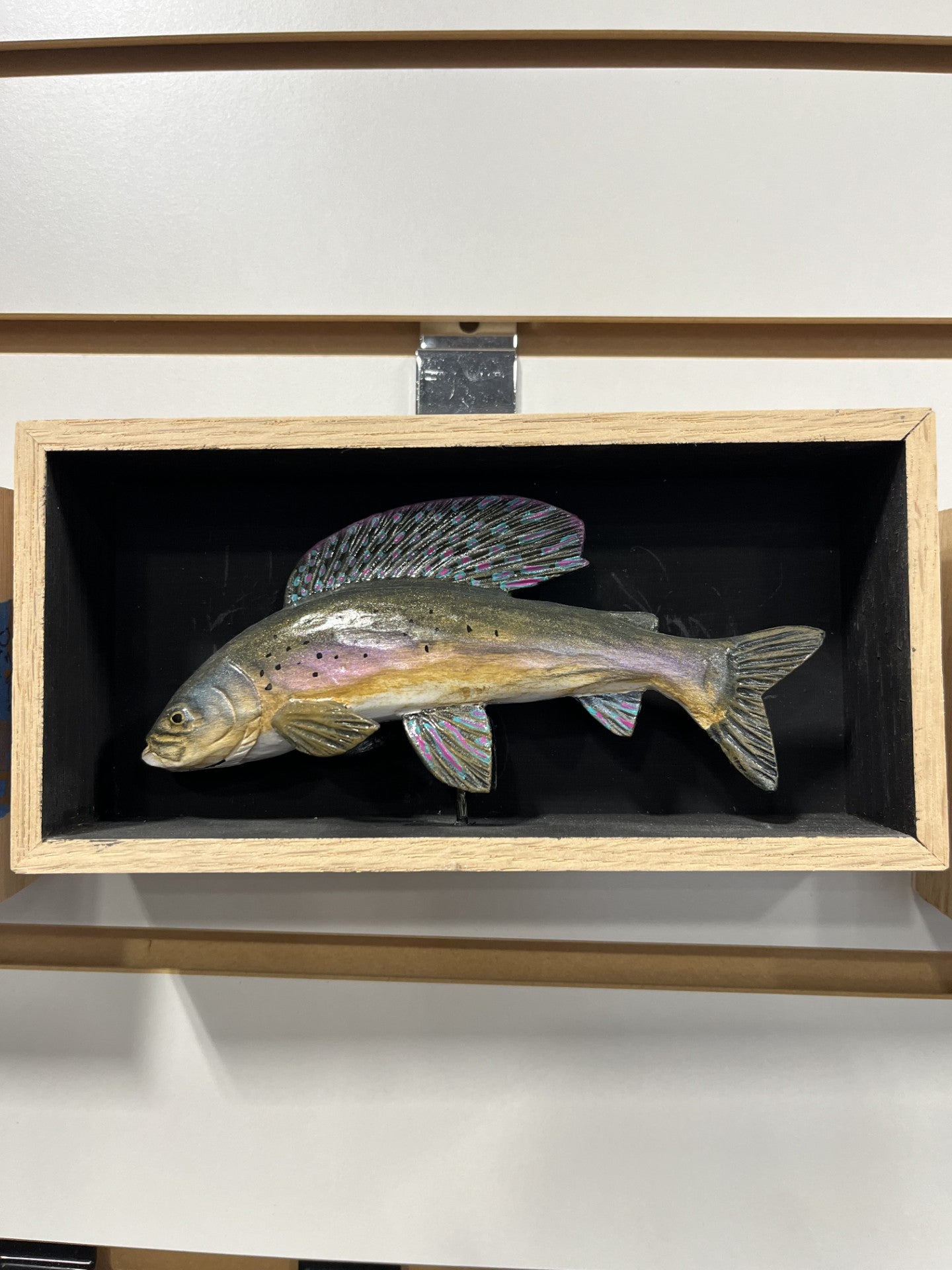 Batchik shadow box grayling