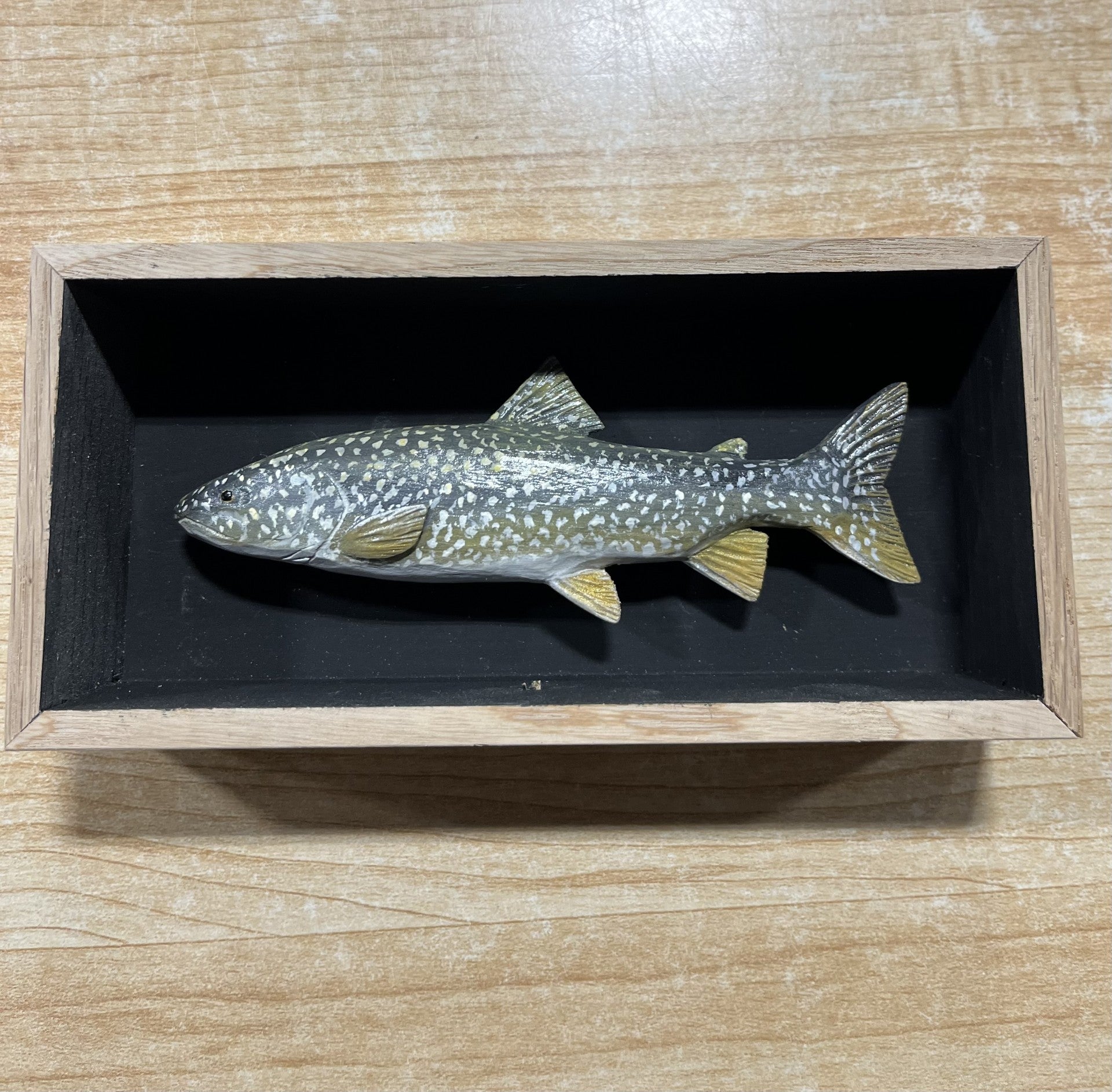 Batchik shadow box Lake Trout