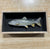 Batchik shadow box Lake Trout