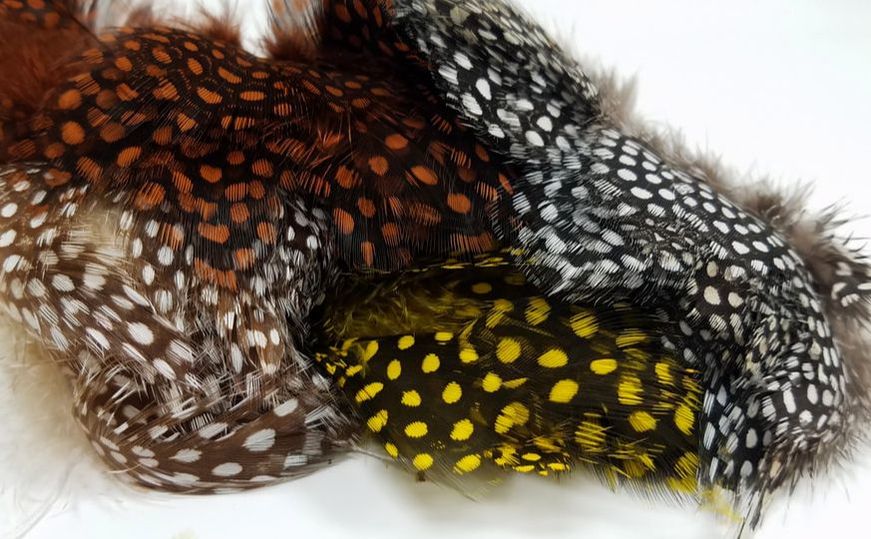 NATURES SPIRIT FISH HUNTER LARGE DOT GUINEA