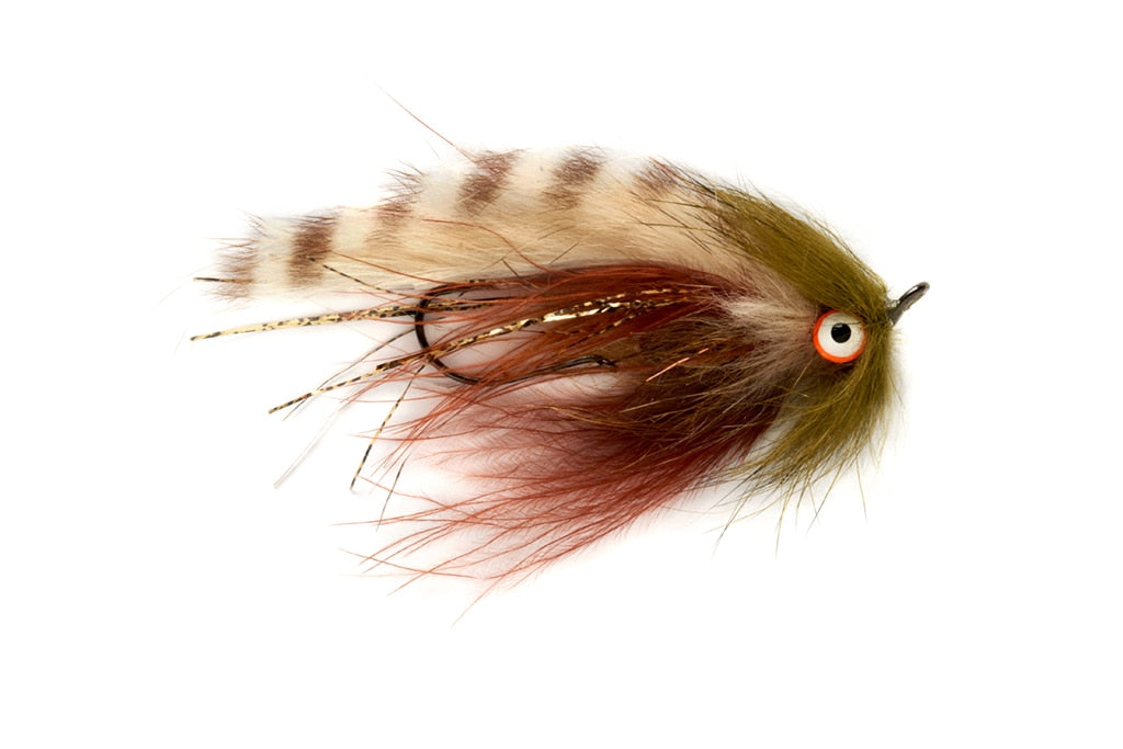 Swing King Ginger Olive - 6