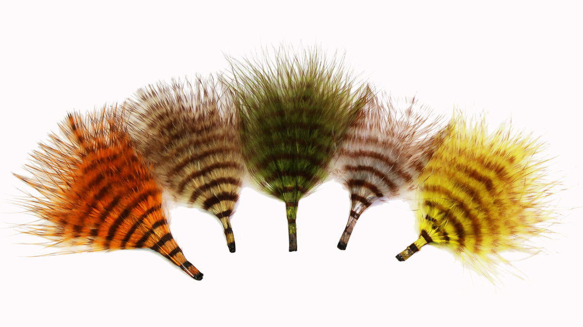 MFC Mini Barred Buggerbou Multi Colors