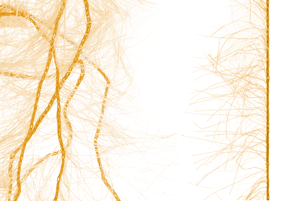 MFC Senyo&#39;s Super Satin Polar Chenille