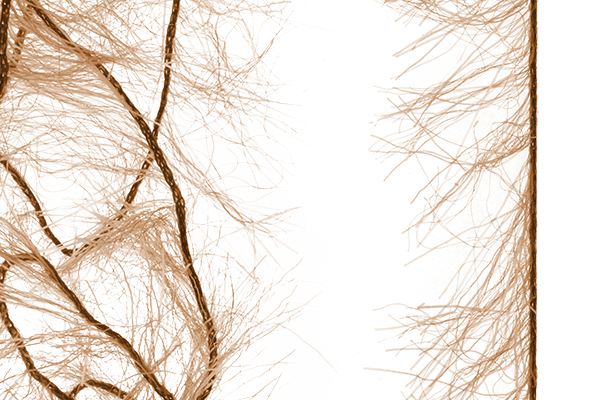 MFC Senyo&#39;s Super Satin Polar Chenille