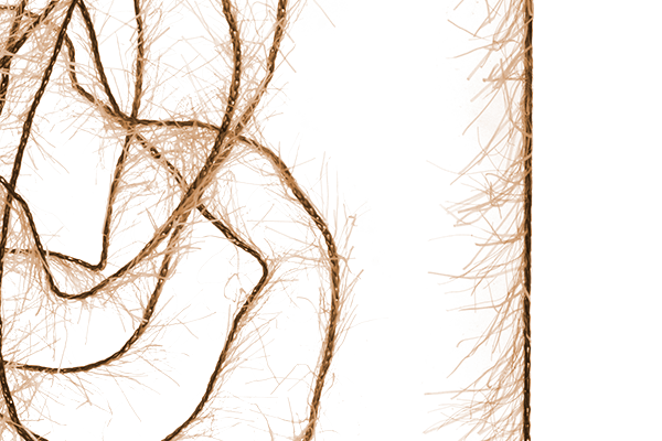 MFC Senyo&#39;s Super Satin Polar Chenille