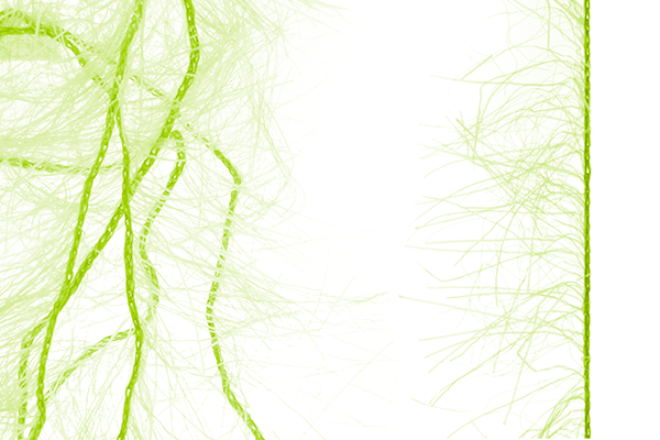 MFC Senyo&#39;s Super Satin Polar Chenille