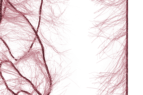 MFC Senyo&#39;s Super Satin Polar Chenille