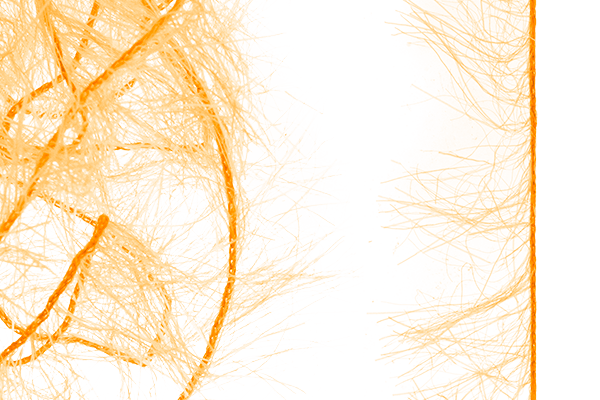 MFC Senyo&#39;s Super Satin Polar Chenille