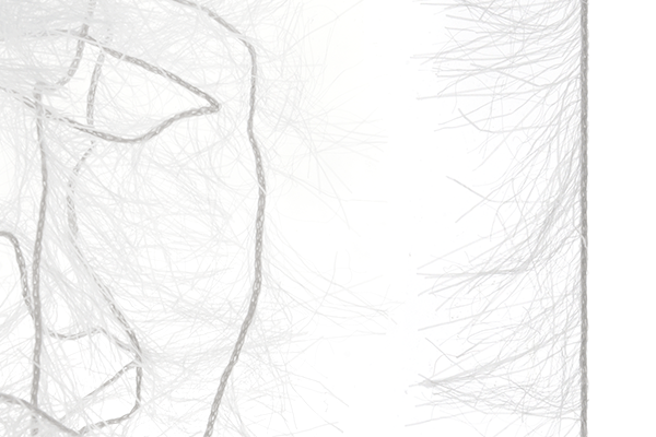 MFC Senyo&#39;s Super Satin Polar Chenille