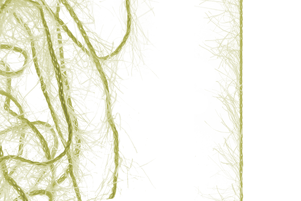 MFC Senyo&#39;s Super Satin Polar Chenille