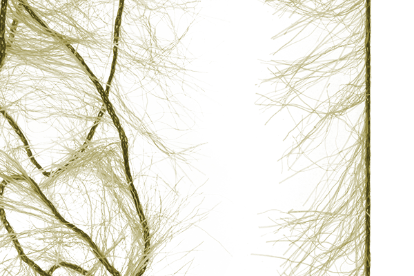 MFC Senyo&#39;s Super Satin Polar Chenille