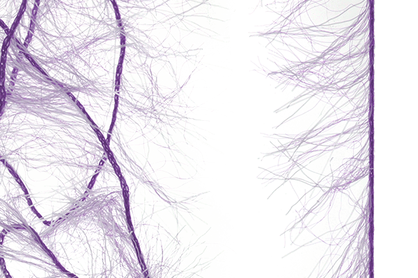 MFC Senyo&#39;s Super Satin Polar Chenille