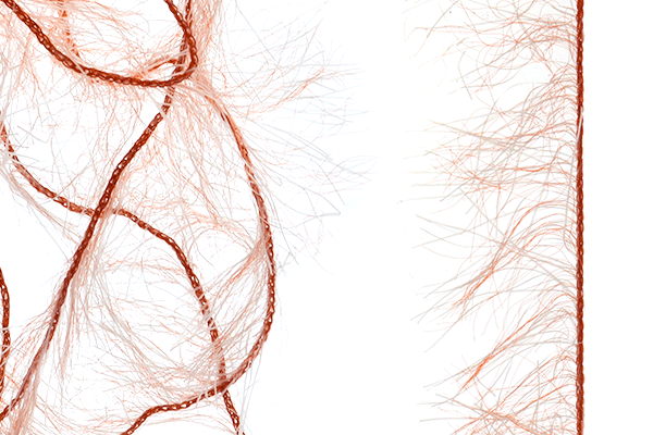 MFC Senyo&#39;s Super Satin Polar Chenille