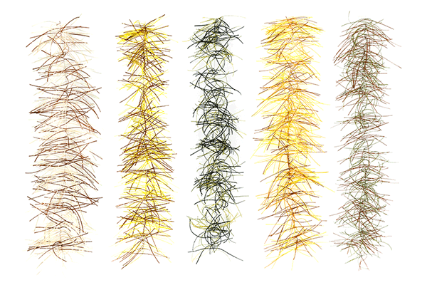 MFC Rubber Bugger Hackle