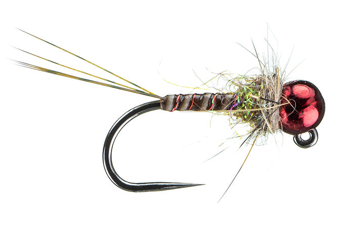 Feeder Creek Pheasant Tail Bead Head Nymph Flies, One Dozen Fly Fishing Wet  Flies, 3 Size Assortment 12,14,16 (4 of Each Size), Great for Trout, Bass