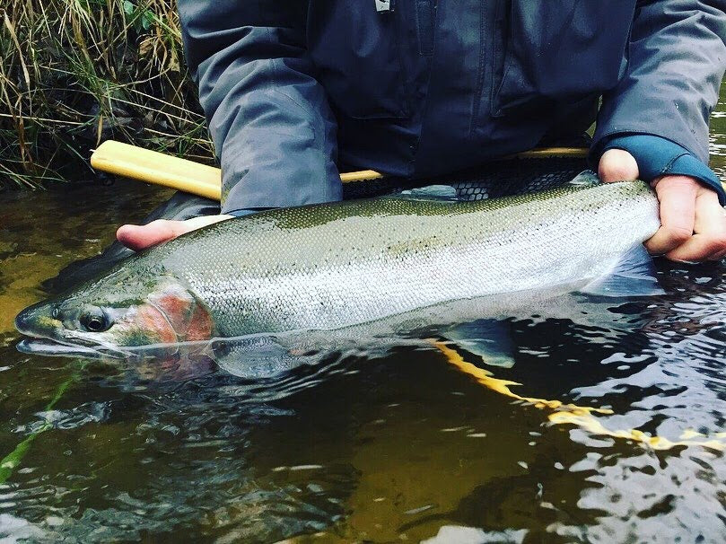 Fly Tying: Steelhead Nymphs and Eggs