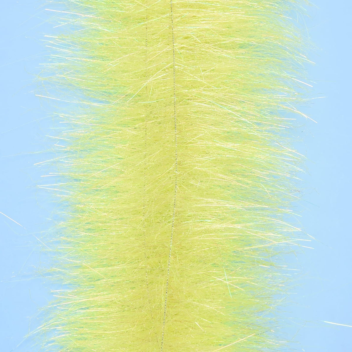 EP Anadromus Brush Yellow