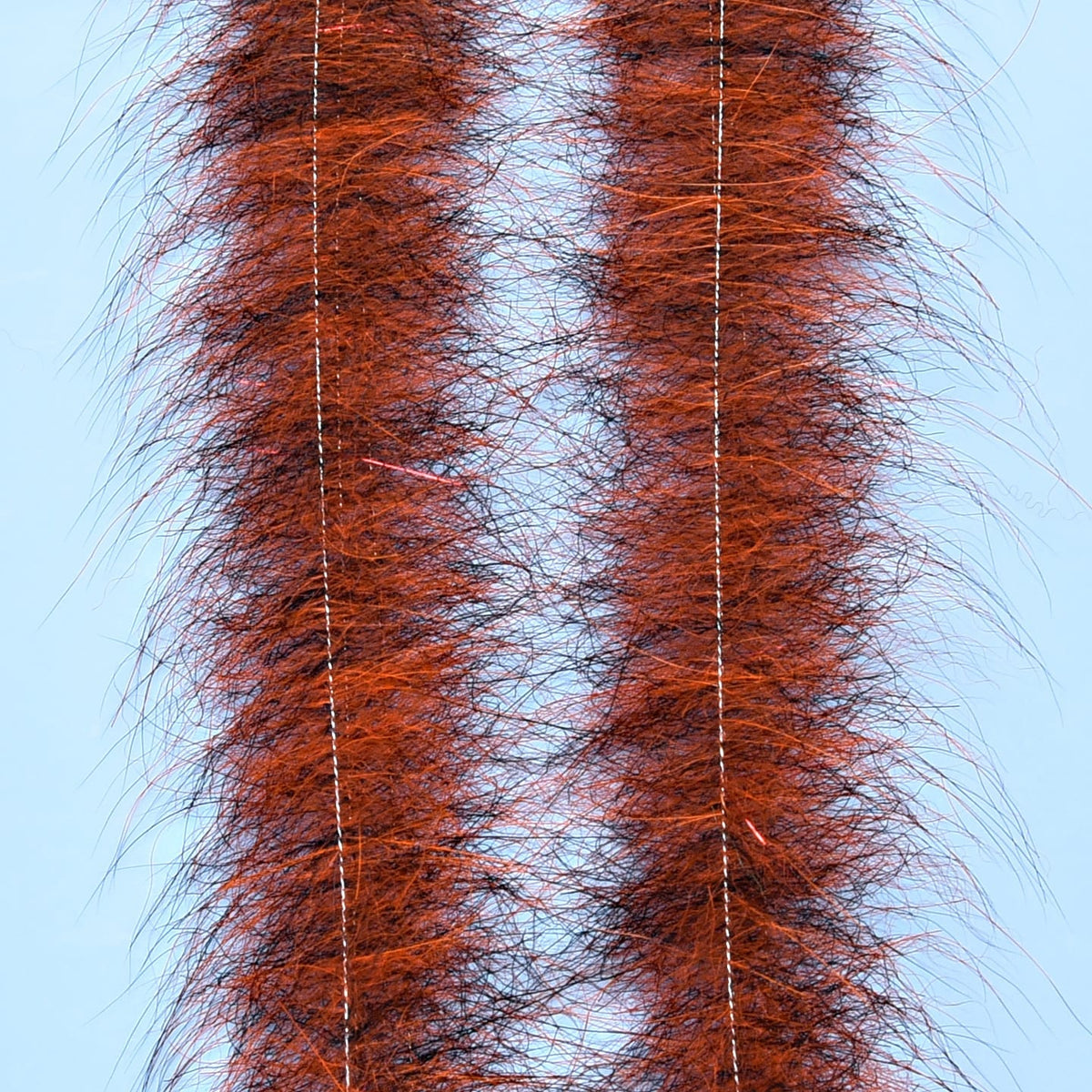 EP Foxy Brush 1.5&quot; Hot Orange/Black