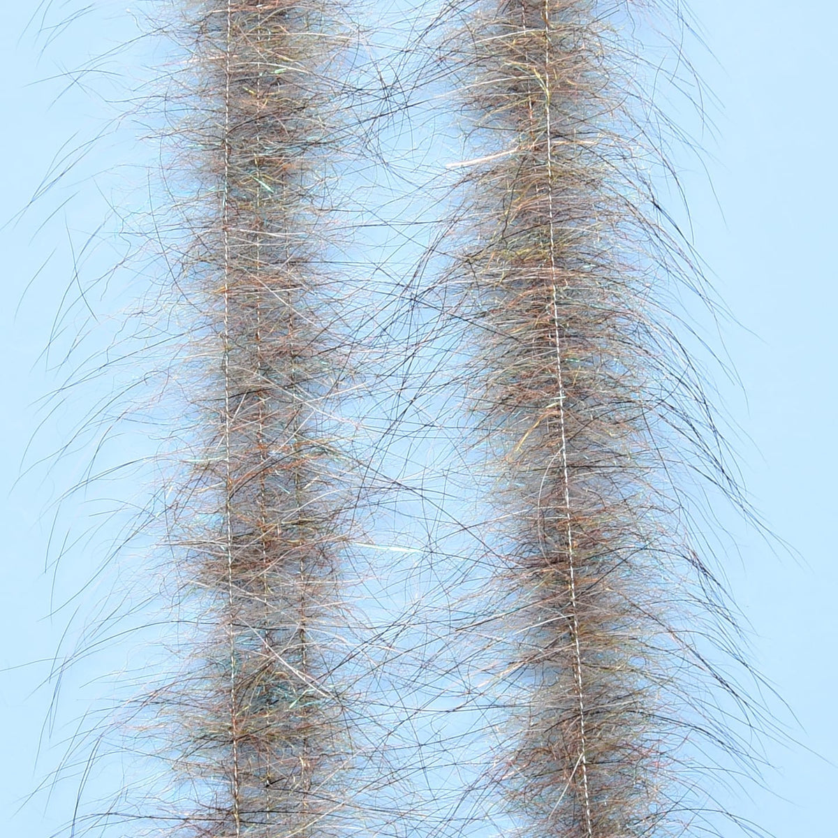 EP Foxy Brush 1.5&quot; Root Beer