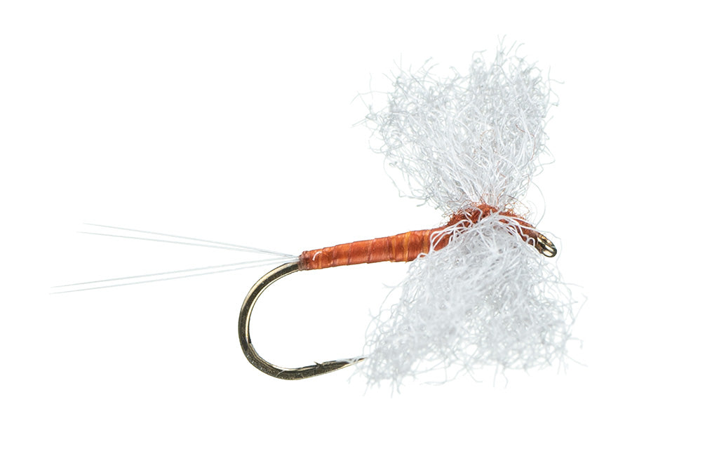 Poly wing Spinner Rusty 