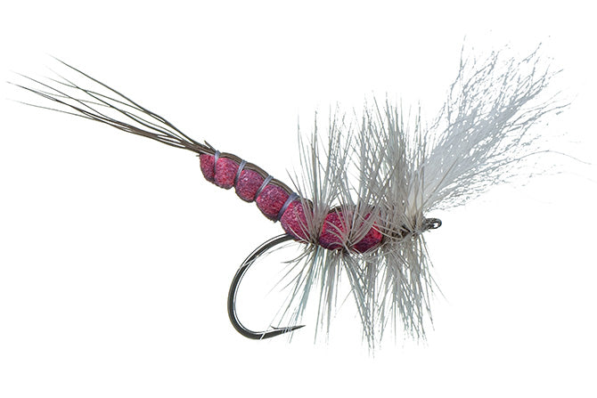 McCoy&#39;s Boondoggle Burgundy Spinner