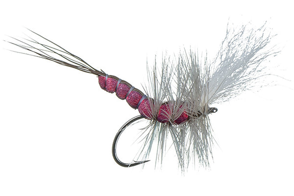 McCoy's Boondoggle Burgundy Isonychia Spinner | Motor City Anglers