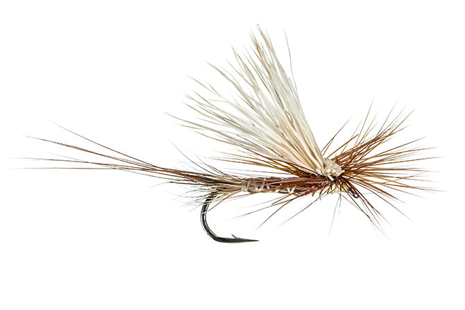 Roberts Tilt Wing Yellow Drake 