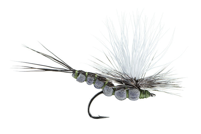 McCoy&#39;s Isonychia All Day Dun 