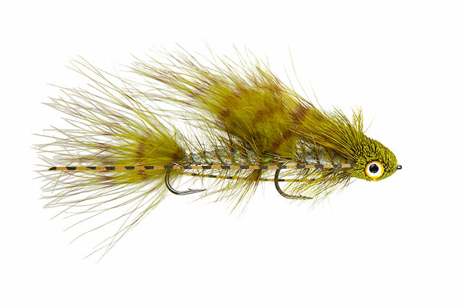 Galloup&#39;s Mini Dungeon Fly