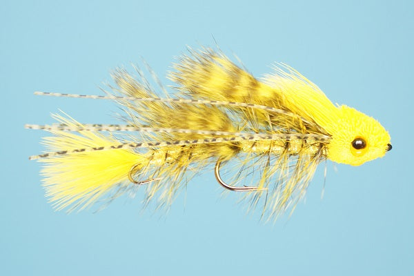 Galloup&#39;s Mini Dungeon Fly