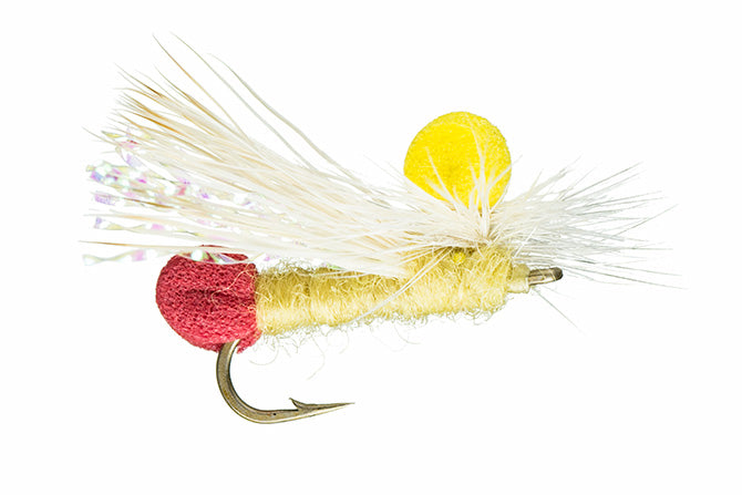 Trina&#39;s Para Sally 