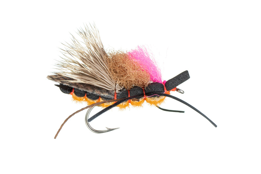 Christensen&#39;s Salmonfly 