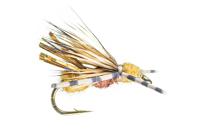 Galloup&#39;s Ant Acid Cinnamon 