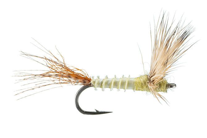 Dry Flies & Emergers Page 3 - Motor City Anglers