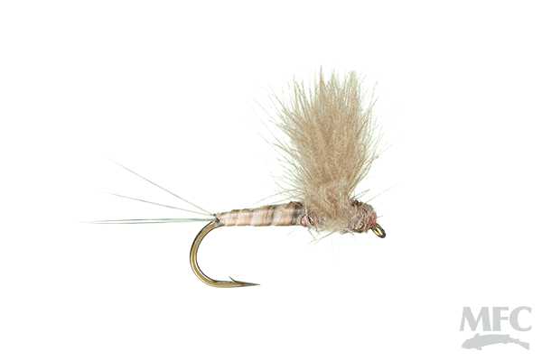 Hendrickson Quill Body CDC Comparadun