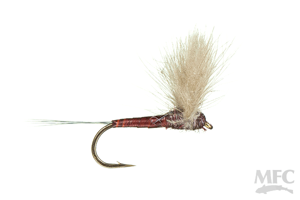 Mahogany Quill Body CDC Comparadun Motor City Anglers