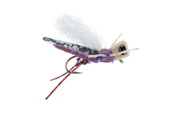 Trina&#39;s Carnage Hopper Purple 