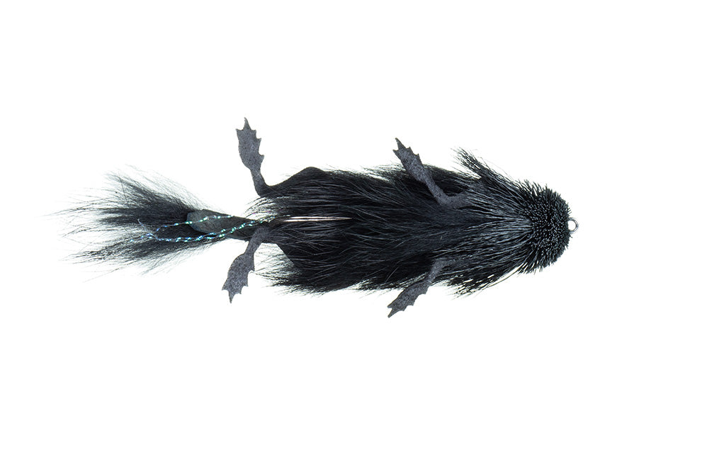 Wooly Feather Mouse