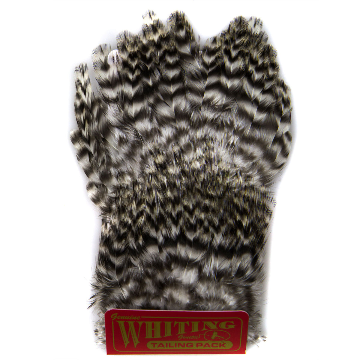 Whiting Farms CDL Tailing Pack (Coq De Leon) Grizzly