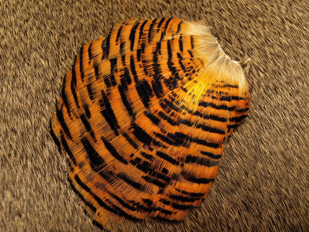 Golden Pheasant Tippet