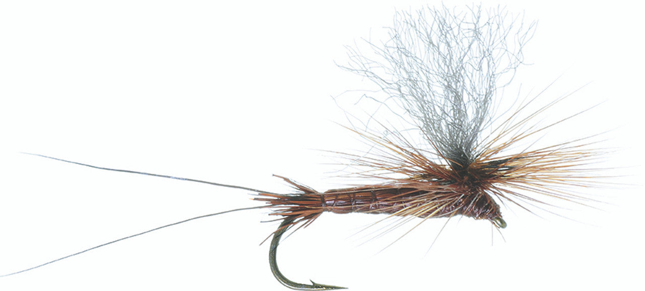 BEAR'S HI-VIZ BROWN DRAKE #10