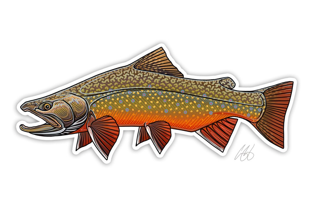 Underwood Brook Trout Decal