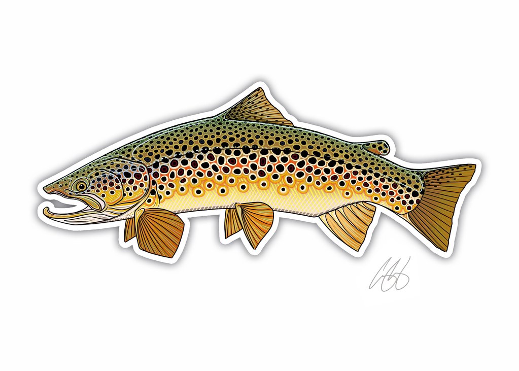 Underwood Brown Trout Decal