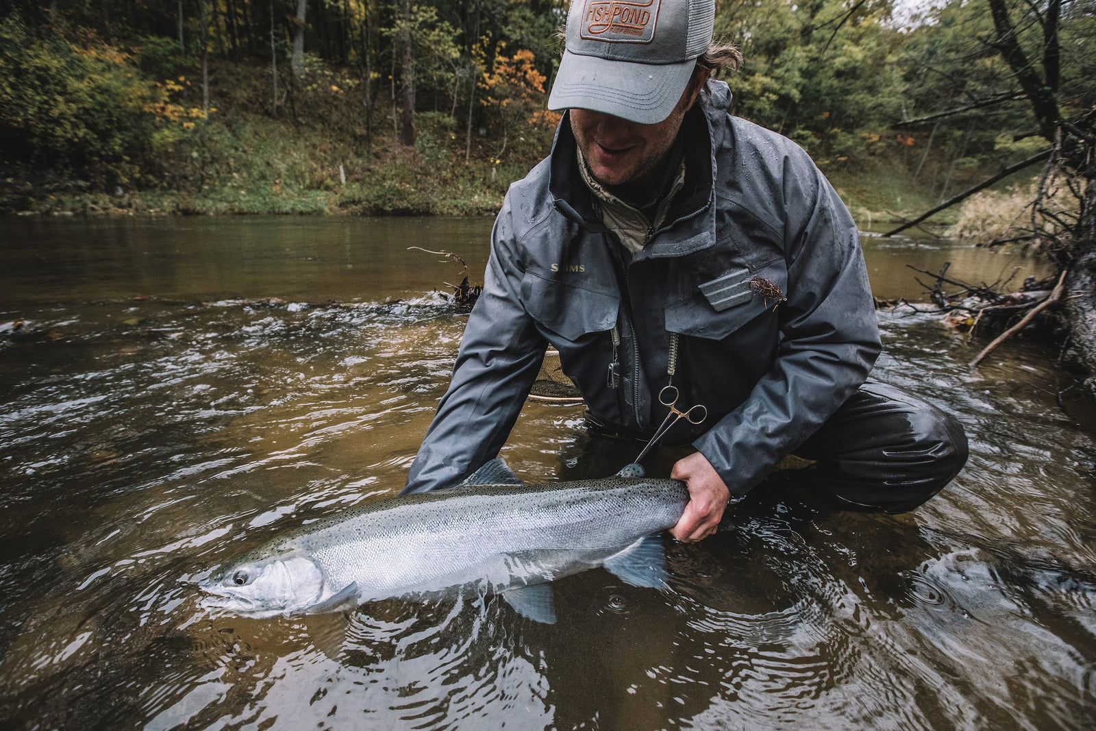 Pere Marquette River Steelhead