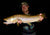 Fly Fishing at Night for Extra Large Brown Trout