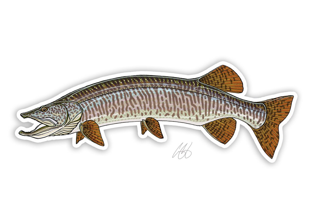 Underwood Musky Decal