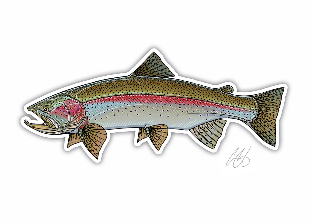 Underwood Rainbow Trout Decal