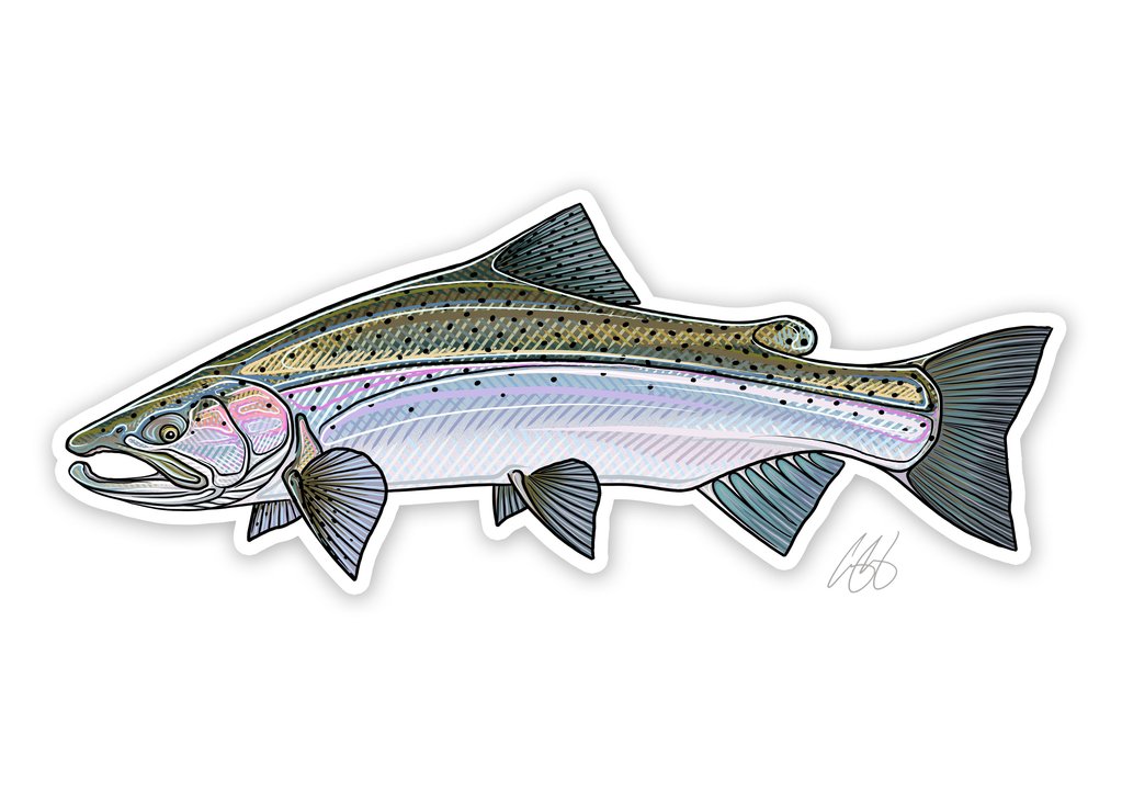 Underwood Steelhead Decal